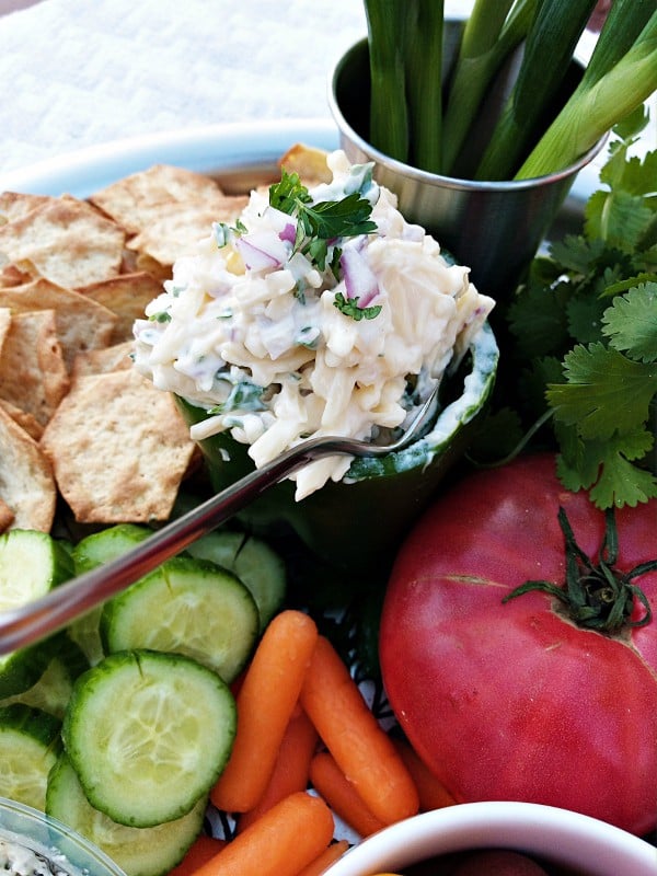 Game Day Smokey Jarlsberg Dip Recipe