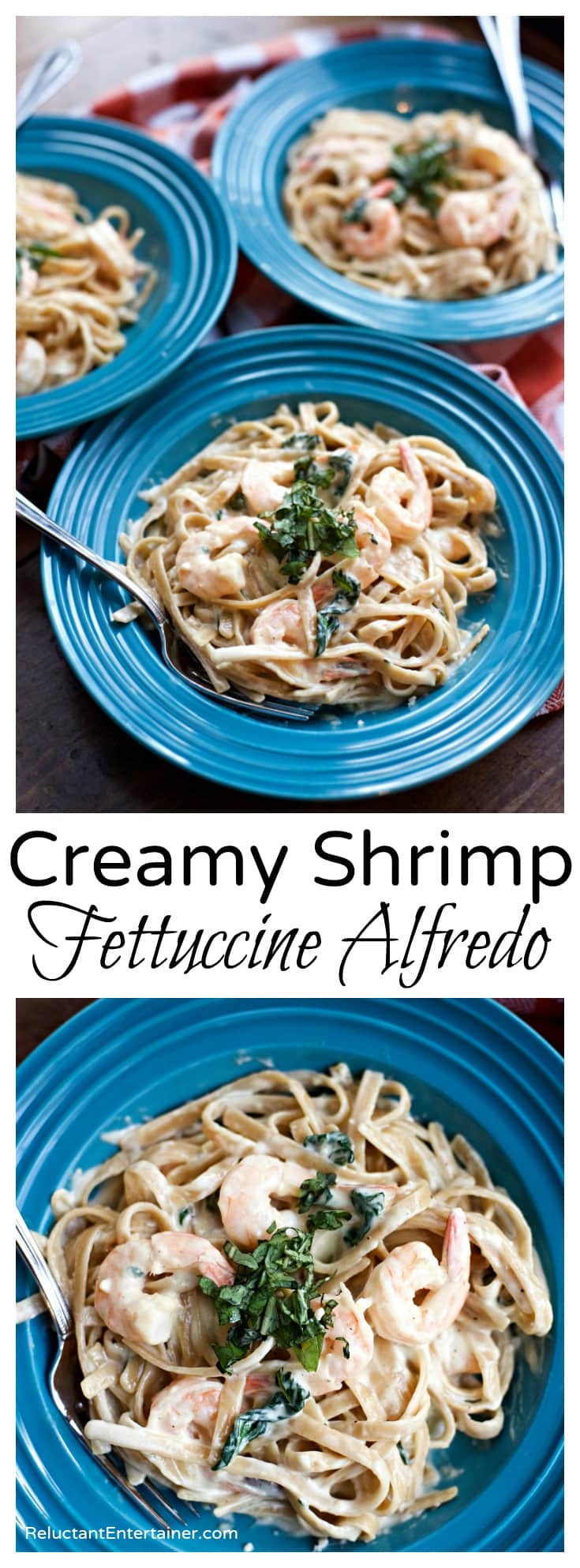 Creamy Shrimp Fettuccine Alfredo