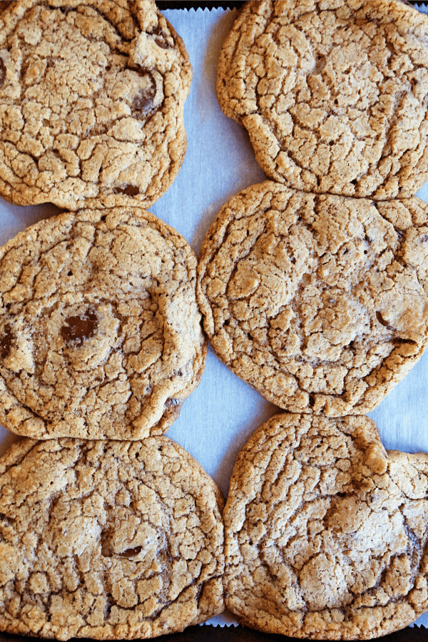 Double Chocolate Chocolate Chip Cookies