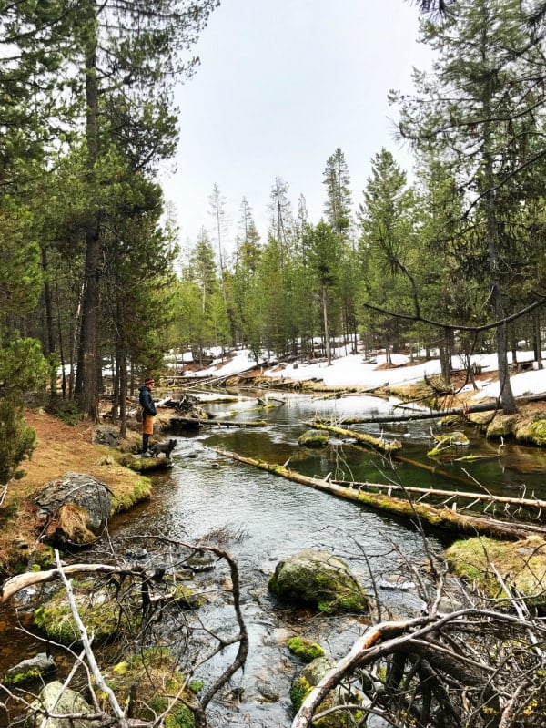 Day Trip to Fall River Headwaters in Central Oregon