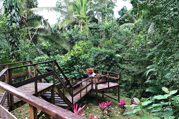 Jaguar Creek, Belize - a Rain Forest Eco-Resort Experience