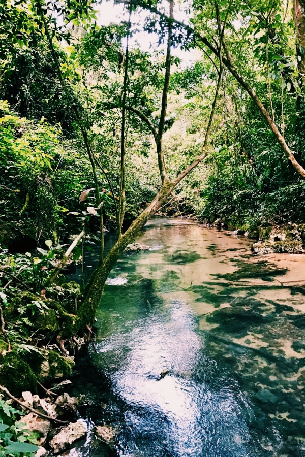 Jaguar Creek, Belize - a Rain Forest Eco-Resort Experience