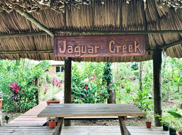 Jaquar Creek, Belize - a Rainforest Experience