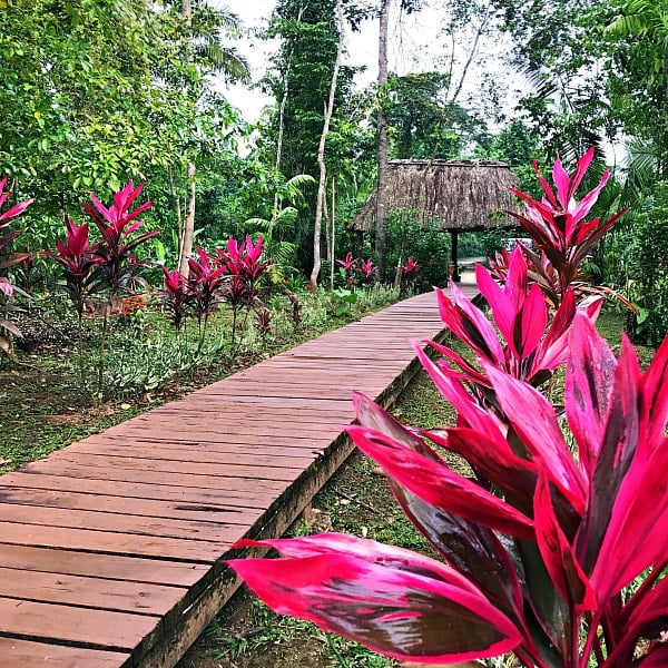 Jaquar Creek, Belize - a Rainforest Experience