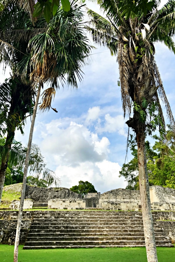 Jaquar Creek, Belize - a Rainforest Experience