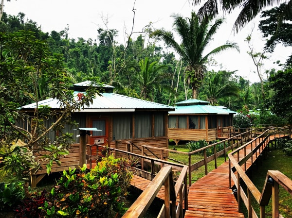 Jaquar Creek, Belize - a Rainforest Experience