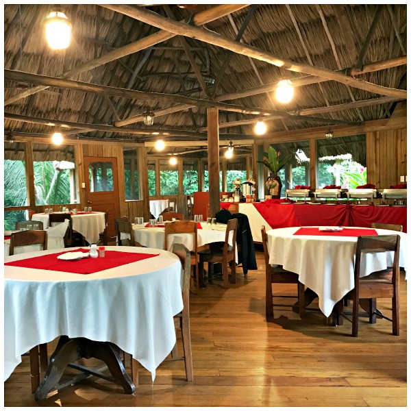 Jaquar Creek, Belize - a Rainforest Eco-Resort Experience