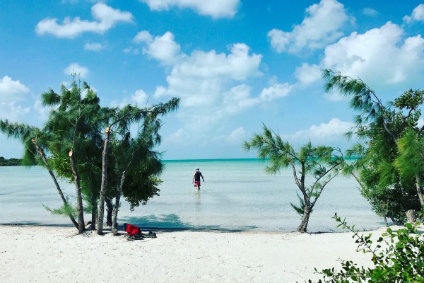 Mahogany Bay Resort, Ambergris Caye, Belize