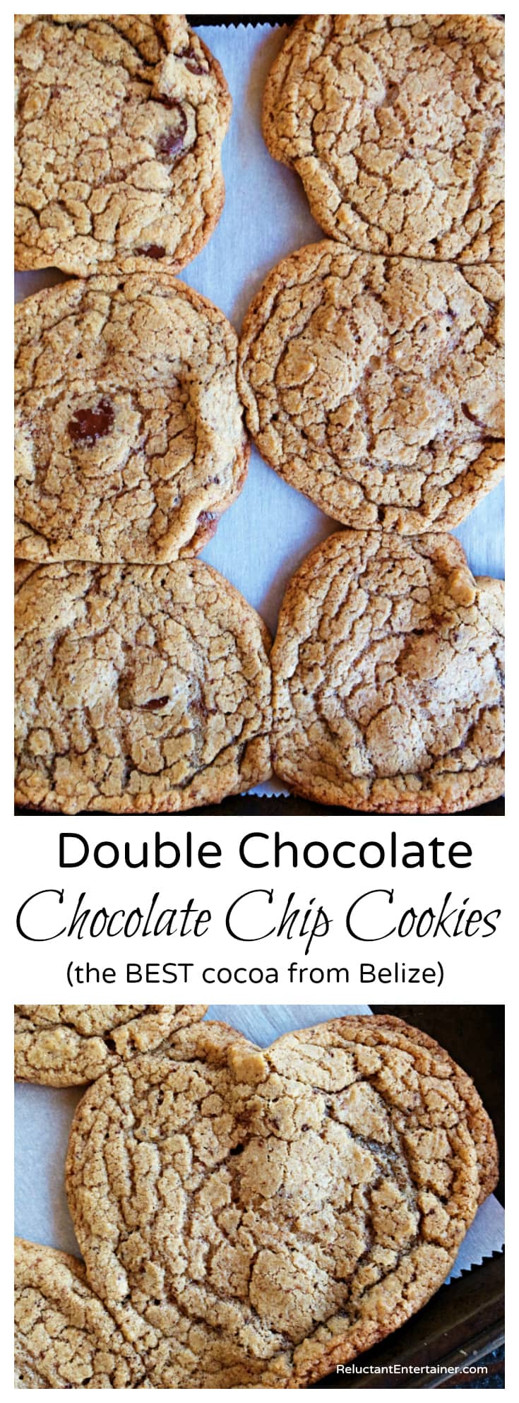 Double Chocolate Chocolate Chip Cookies