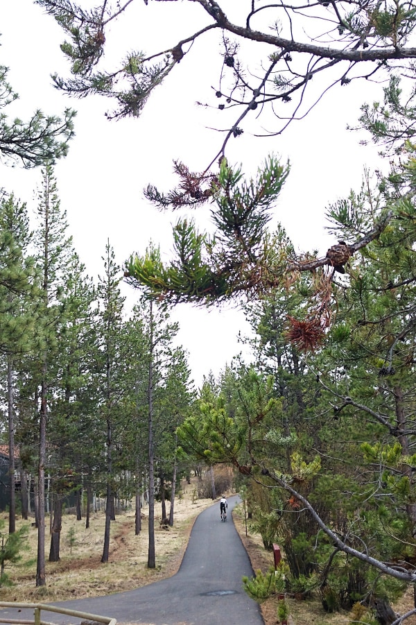 Allergy Season Cycling in Central Oregon