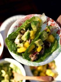 Mango Salsa Teriyaki Chicken Lettuce Wraps