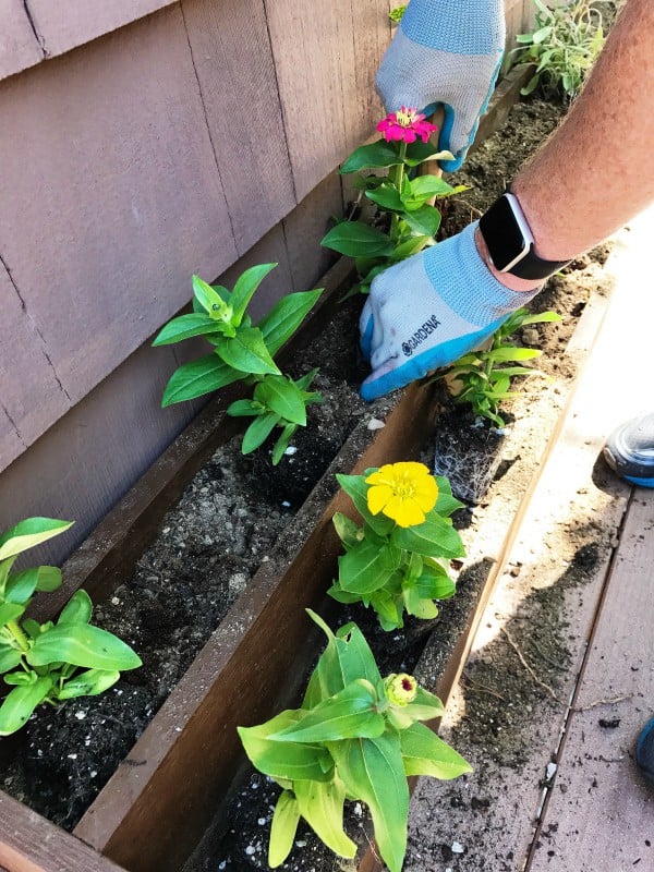 DIY Skinny Deck Gardening Beds