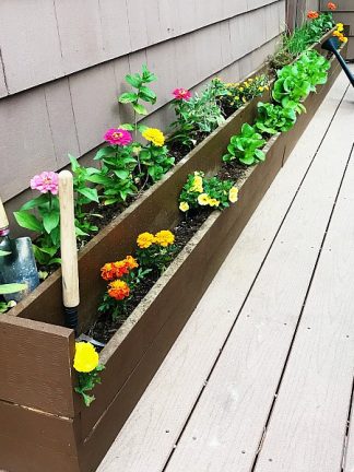 DIY Skinny Deck Gardening Beds