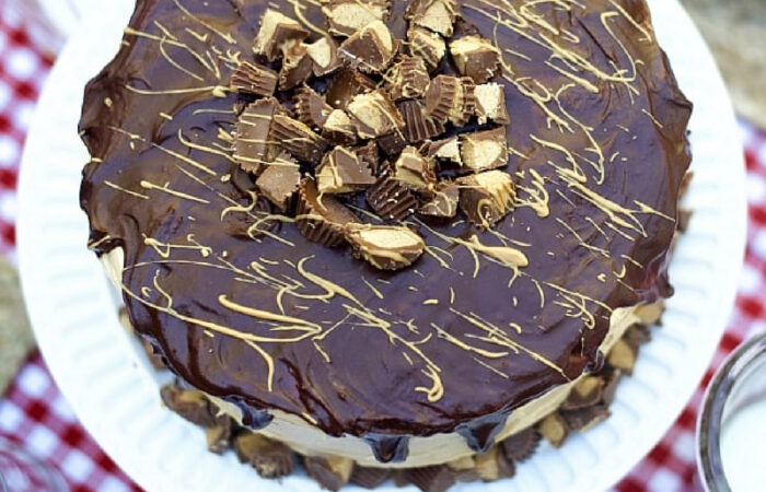 a layered cake with chocolate ganache