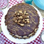 RICH Chocolate Peanut Butter Cup Cake Recipe