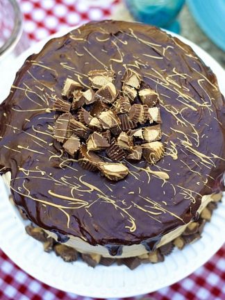 RICH Chocolate Peanut Butter Cup Cake Recipe