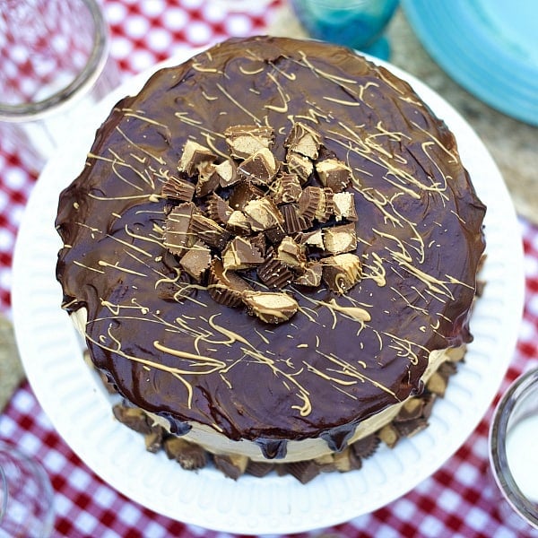 RICH Chocolate Peanut Butter Cup Cake Recipe