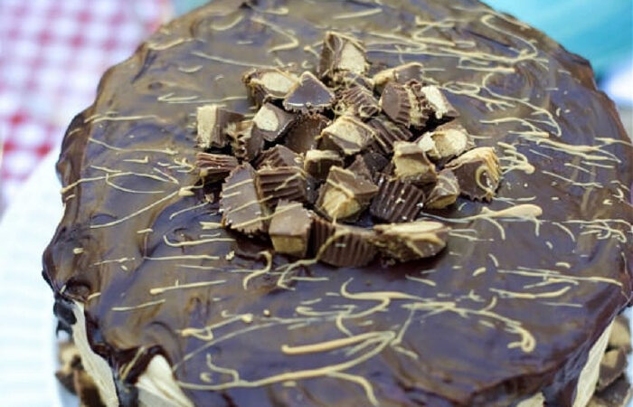 Chocolate Peanut Butter Cup Cake