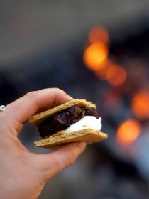 Campfire Cookie Dough Almond S'mores Recipe