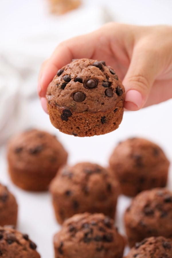 holding a Chocolate Zucchini Muffin