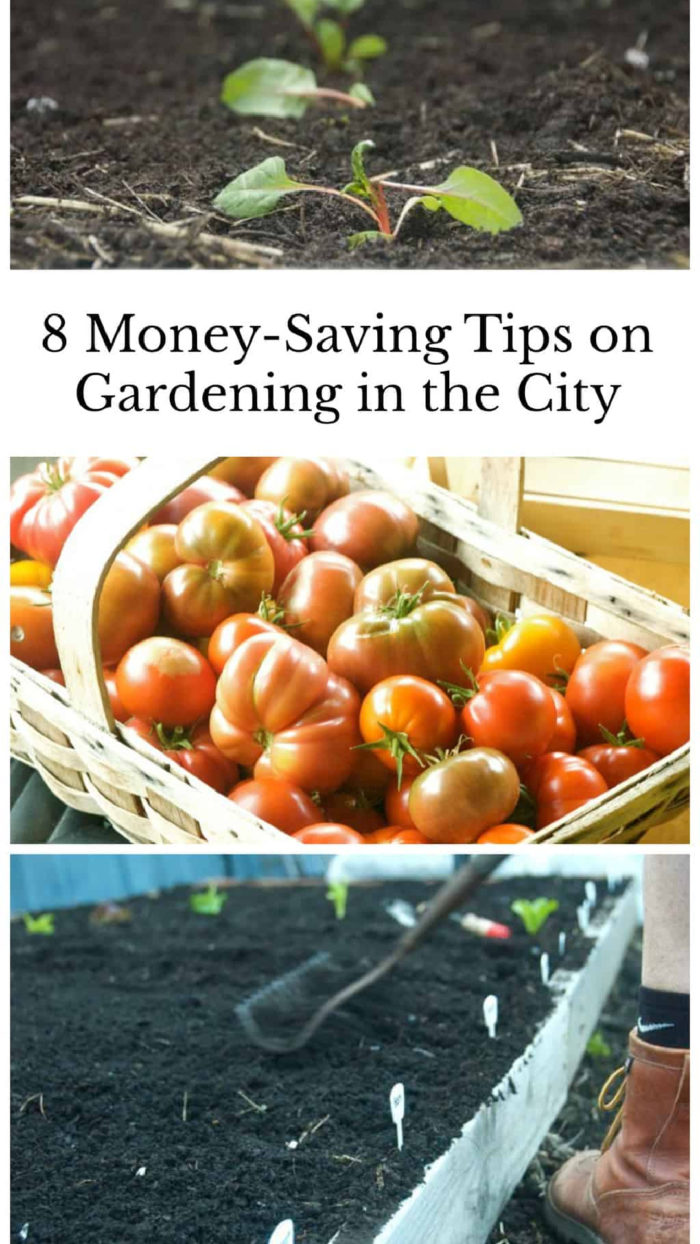 8 Money-Saving Tips on Gardening in the City