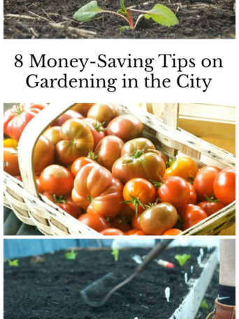 gardening in the city with 8 money saving tips