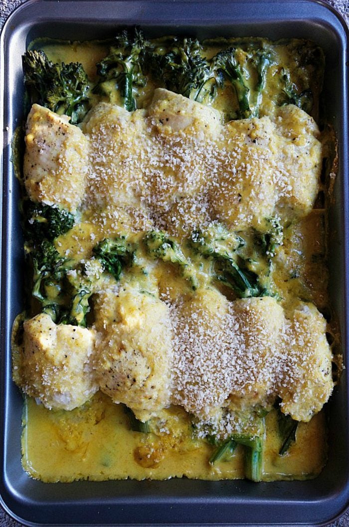 9x13 pan of cooked rolled broccolini with chicken and divan sauce