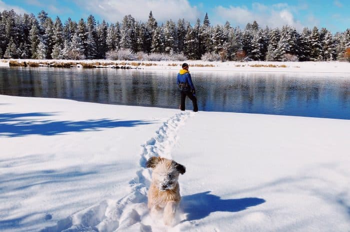 Alder at Sunriver Resort