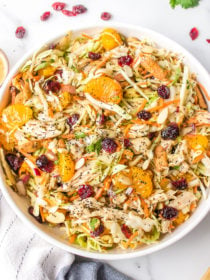 Asian Chicken Cranberry Salad