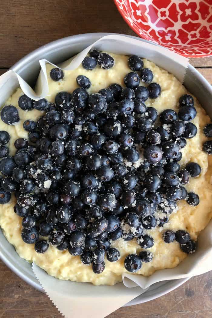 Easy Blueberry Yogurt Morning Cake