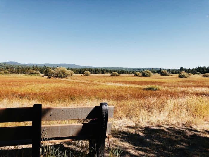 Dawn Wildlife Morning at Sunriver Nature Center - bench