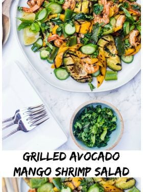 https://reluctantentertainer.com/wp-content/uploads/2018/07/Grilled-Avocado-Mango-Shrimp-Salad-280x376.jpg