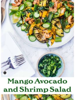 Mango Avocado and Shrimp Salad