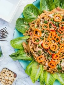 Thai Chicken Fettuccine Salad