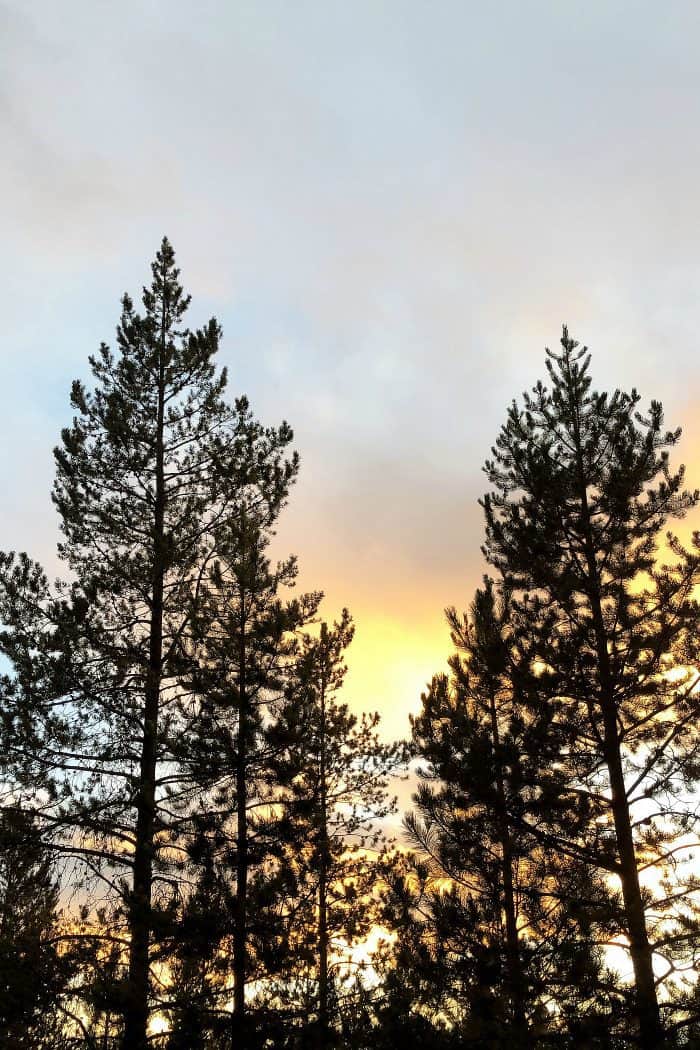 Sunriver Skies