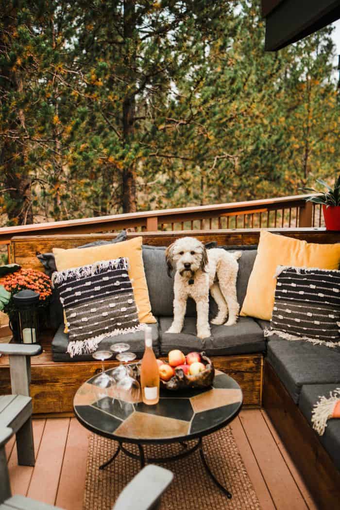 Cozy Outdoor Living Space - Alder the Whoodle