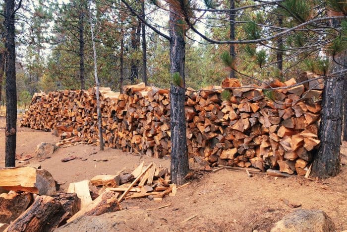 wood pile