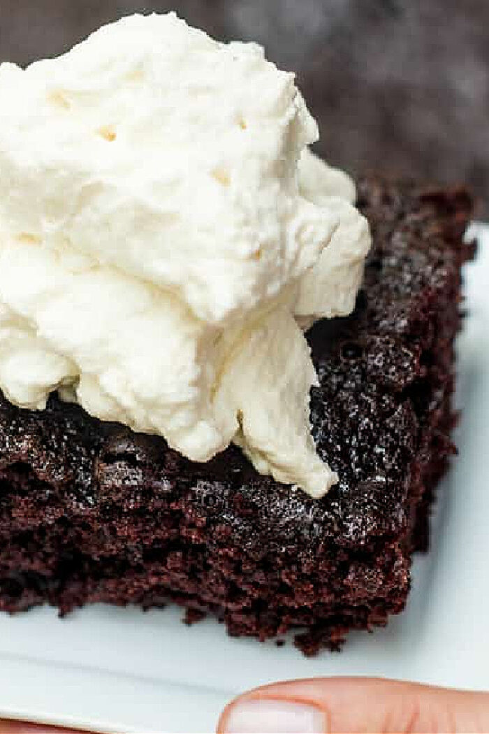 piece of chocolate cake with whipped cream
