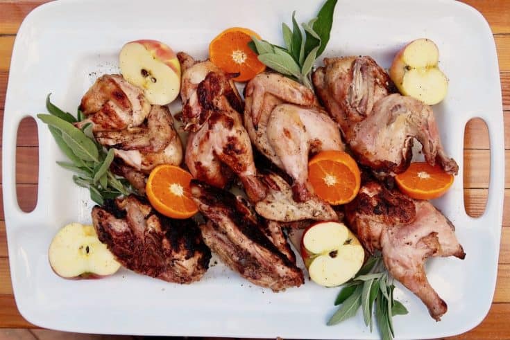 Grilled Cornish Game Hens Reluctant Entertainer Grilled Cornish Game Hens 2 735x491 
