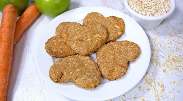 apple carrot dog biscuit