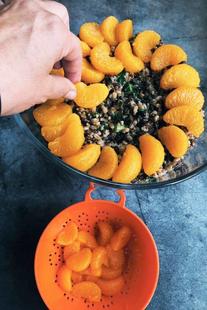 Layered Harvest Quinoa Salad - thanksgiving