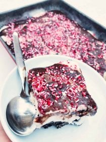 Frozen Peppermint Ice Cream Dessert