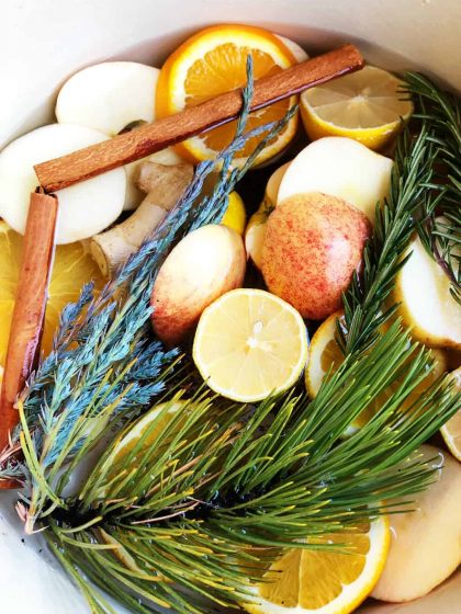 Stove-top Yuletide Potpourri Recipe - Reluctant Entertainer