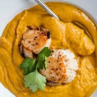 elegant bowl of butternut squash soup with seared scallops