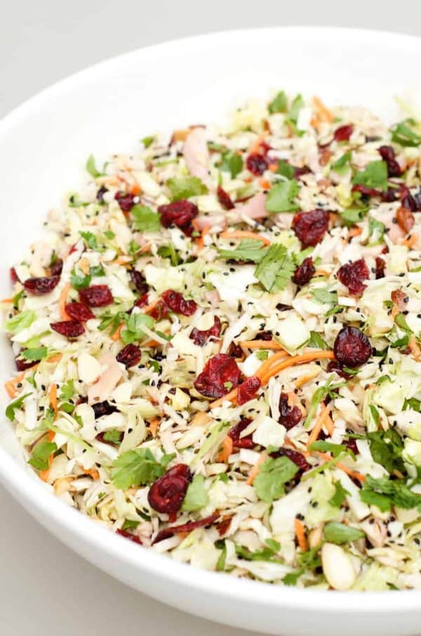 large white bowl of chicken Asian salad with cranberries