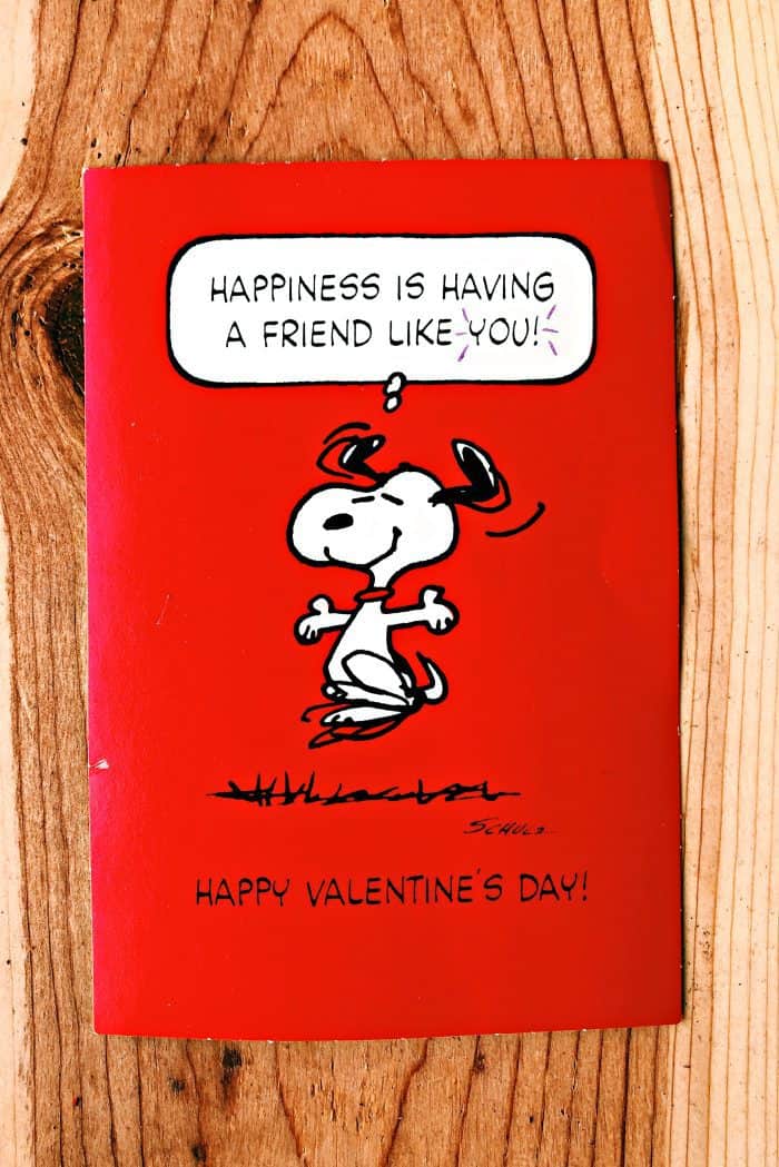 Valentine's Day Date Night Charcuterie Board - Snoopy Valentine
