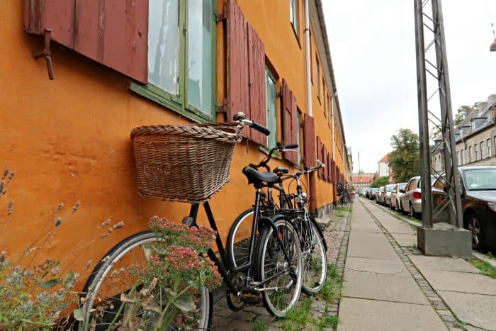 Homeland Viking Cruise Denmark Excursions - bike basket