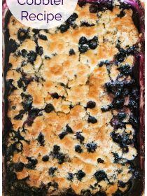 close up view of blueberry cobbler