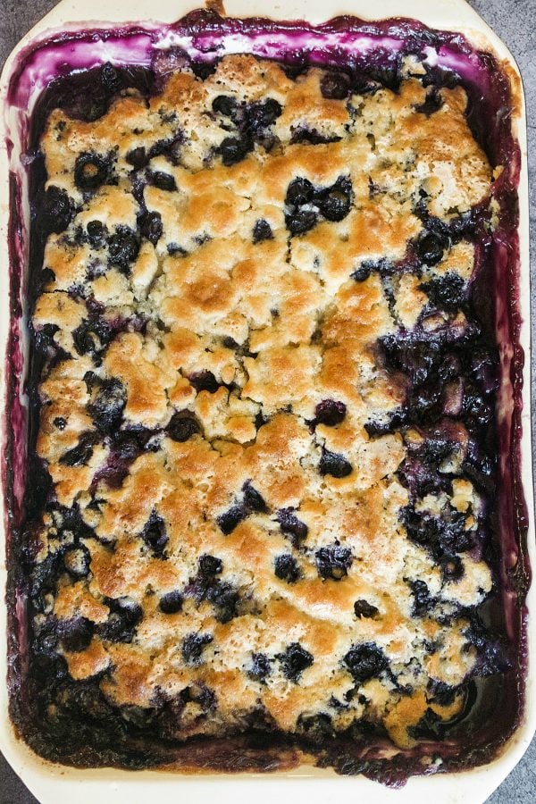 close up of blueberry cobbler with light brown doughy crust