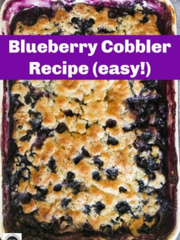 Blueberry Cobbler Recipe (Easy!)